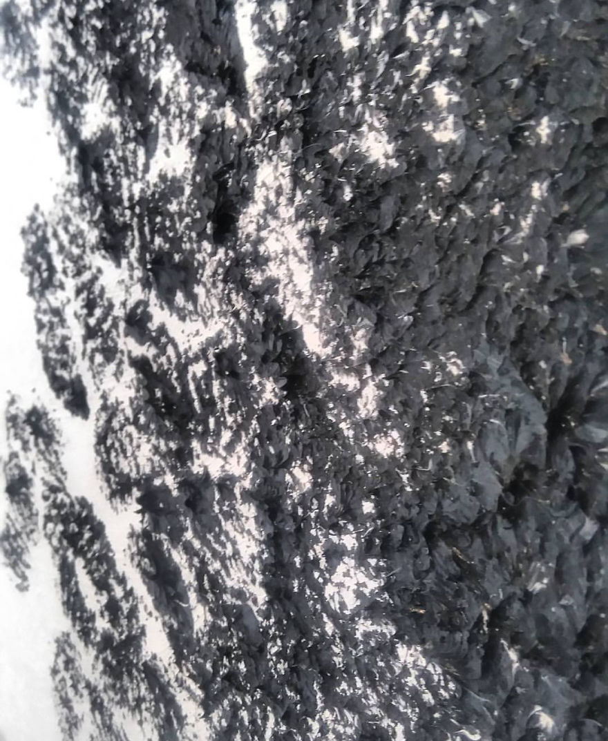 What Colour Is Your World? What Colour Is Your World?