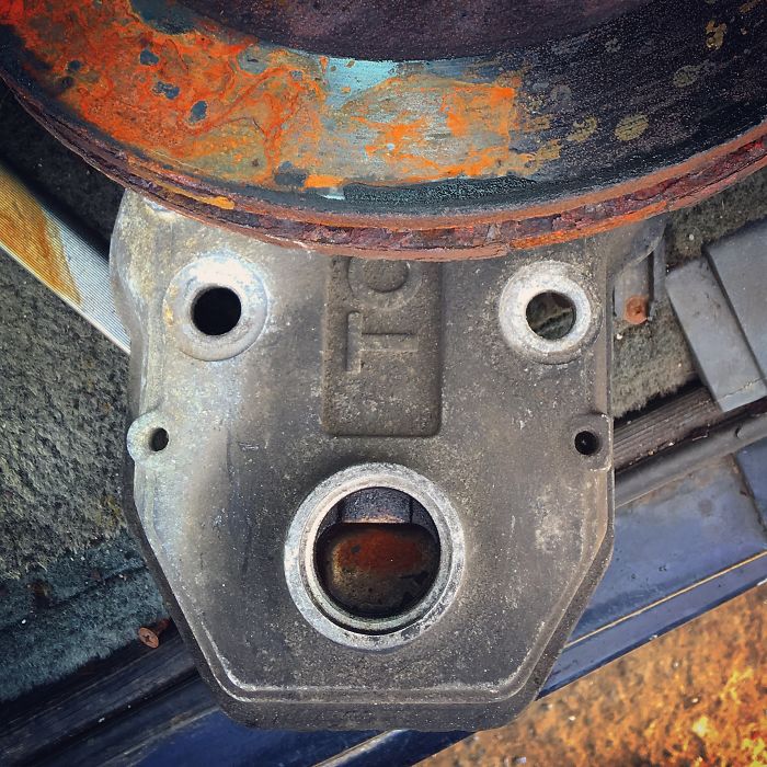 I Can’t Stop Seeing Faces