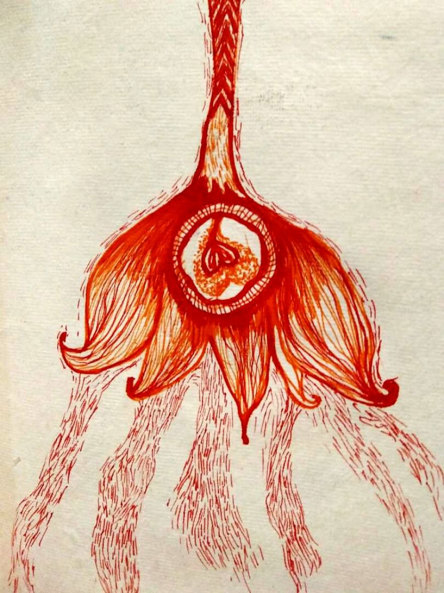 Inside My Womb , Sketches Representing Phases Experienced By Artist Close To Labor And Birth. Inside My Womb , Sketches Representing Phases Experienced By Artist Close To Labor And Birth.
