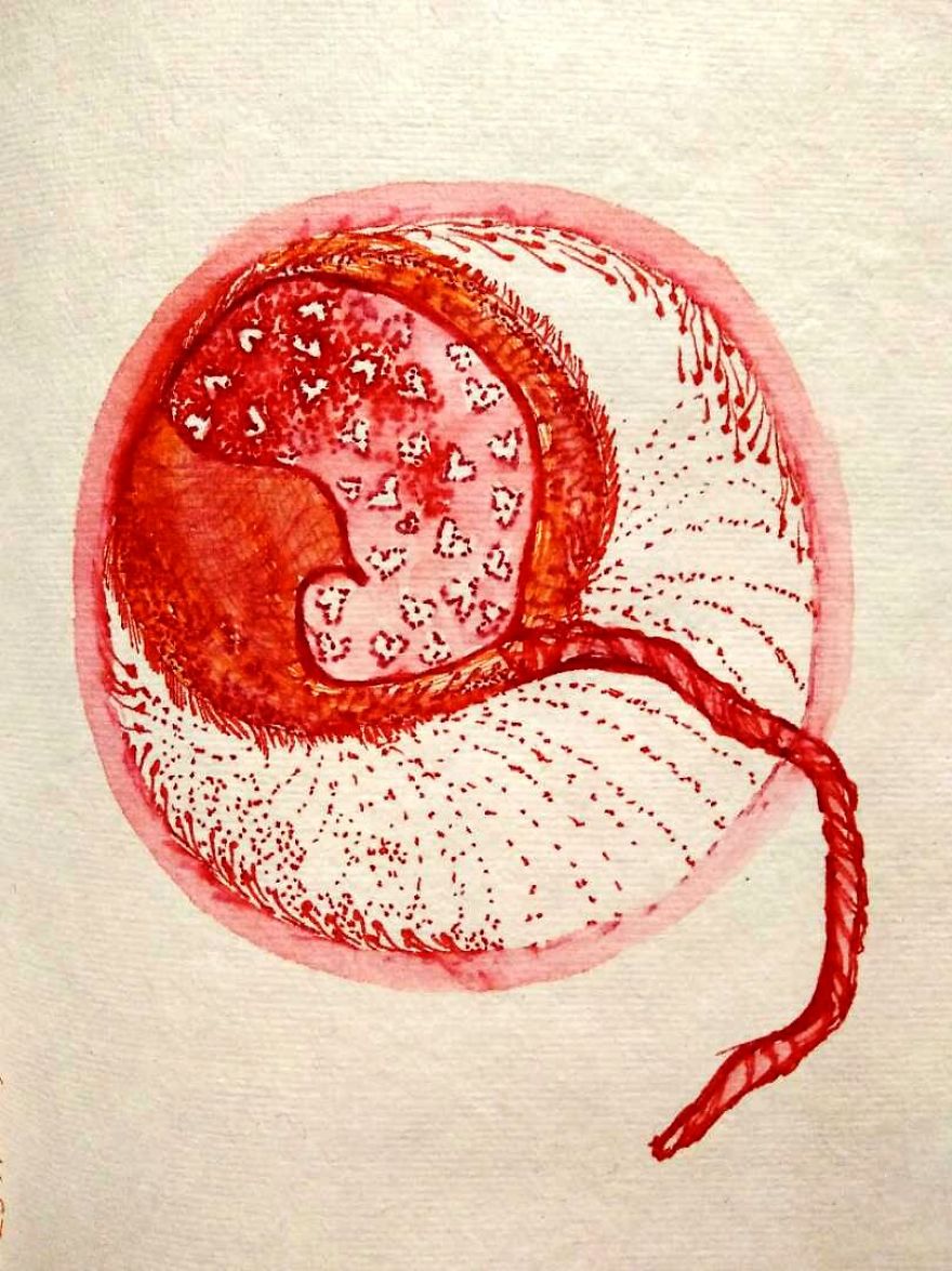 Inside My Womb , Sketches Representing Phases Experienced By Artist Close To Labor And Birth. Inside My Womb , Sketches Representing Phases Experienced By Artist Close To Labor And Birth.
