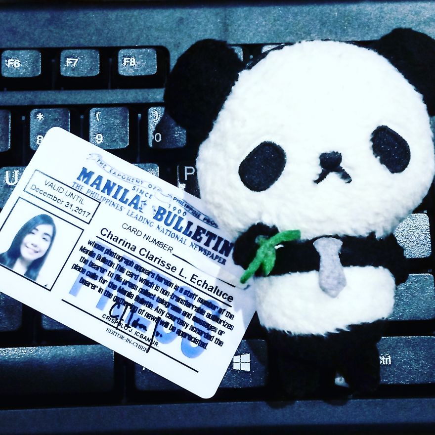 Making Sad Panda Smile Project: A Lonely Panda's Quest For Happiness