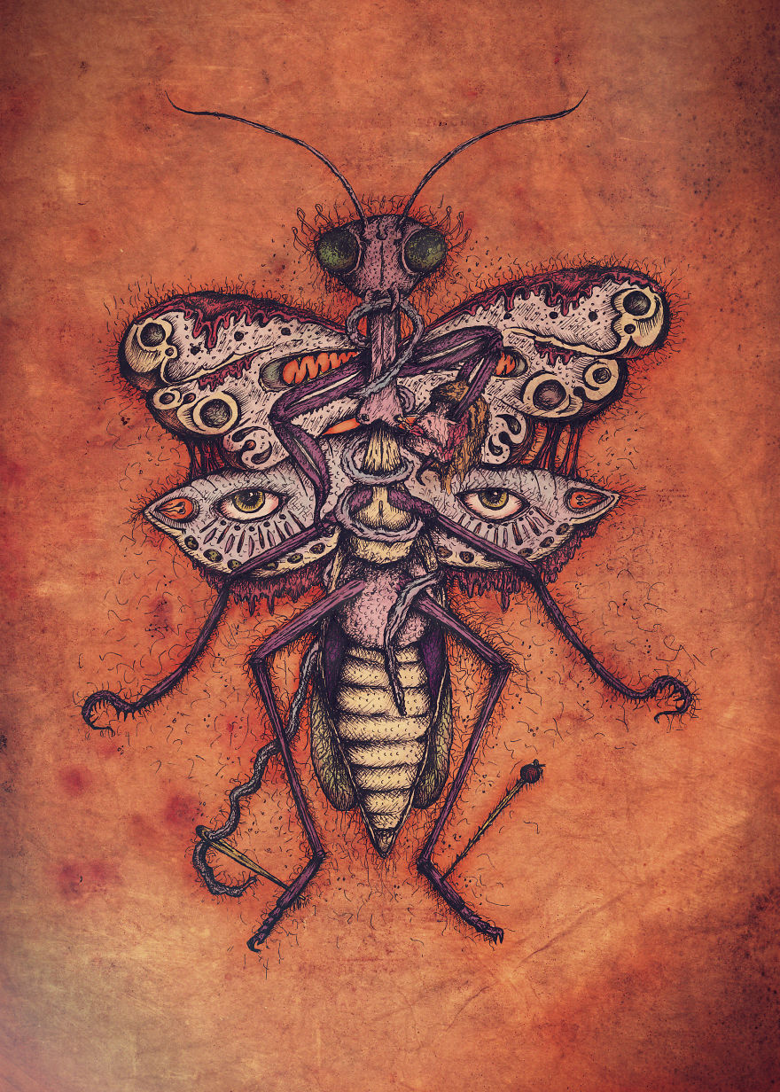Hybrid Dark Mantis Illustrated For A Song