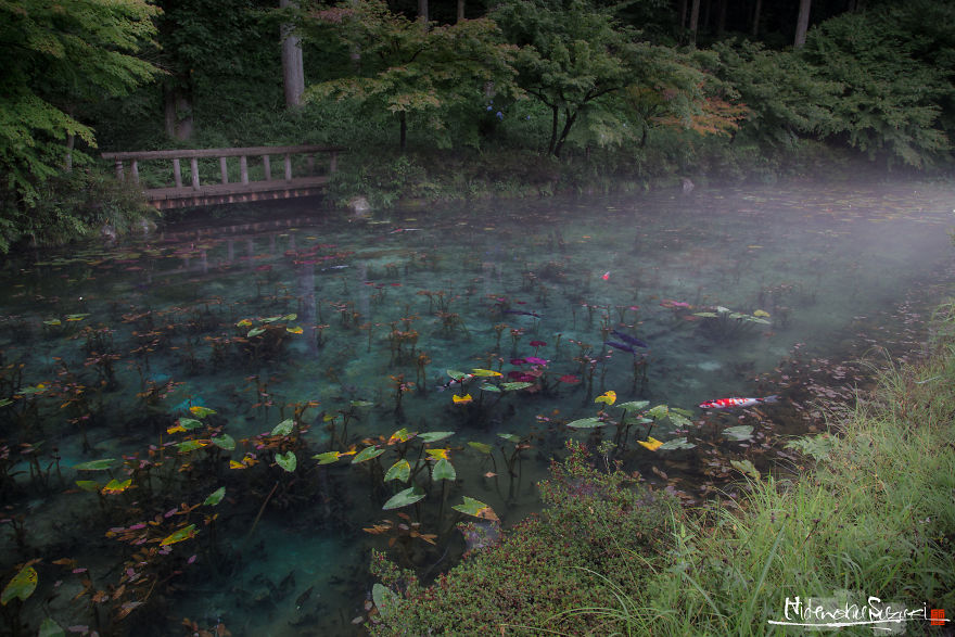 ‘Monet’s Pond’ In Japan That Looks Like Monet’s Paintings.