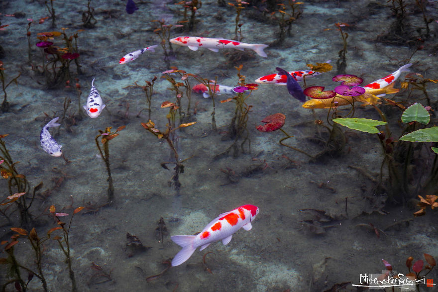 ‘Monet’s Pond’ In Japan That Looks Like Monet’s Paintings.