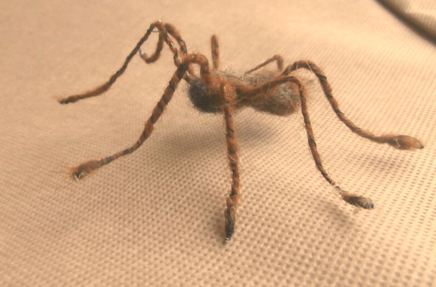 Handmade Needle Felt Life Size House Spider By Moonbrush Wood Studios