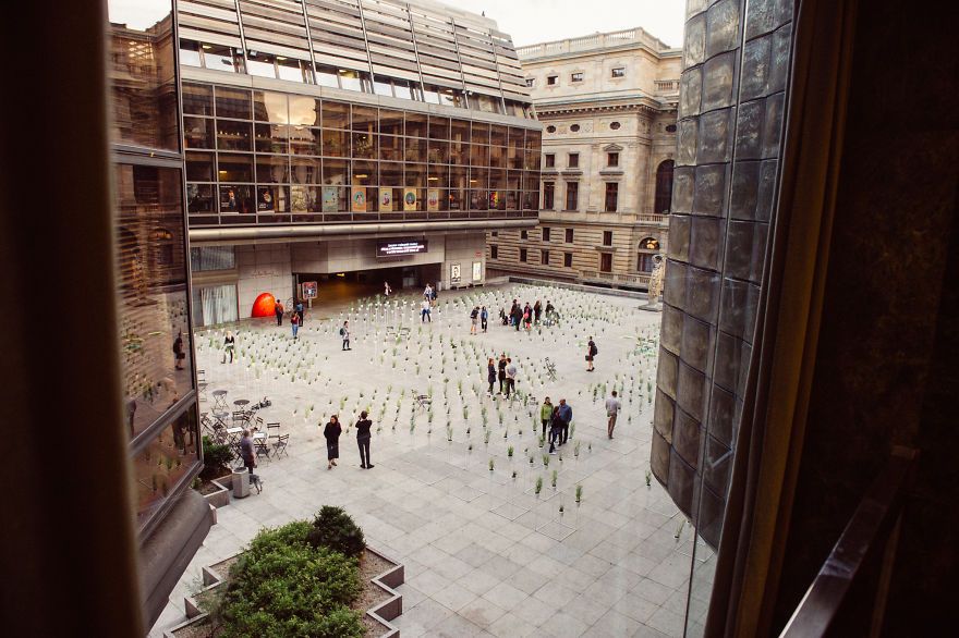 We Made This Installation Our Of 1000 Plants And 1,6 Tonnes Of Metal Construction