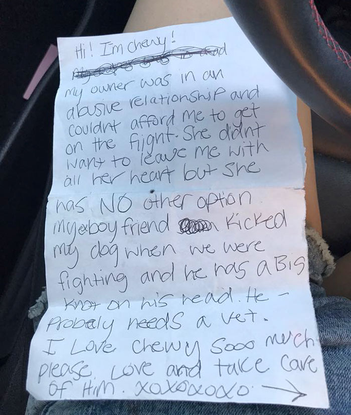 Puppy Abandoned At The Airport Had A Heartbreaking Note From His Owner, And It'll Make You Cry
