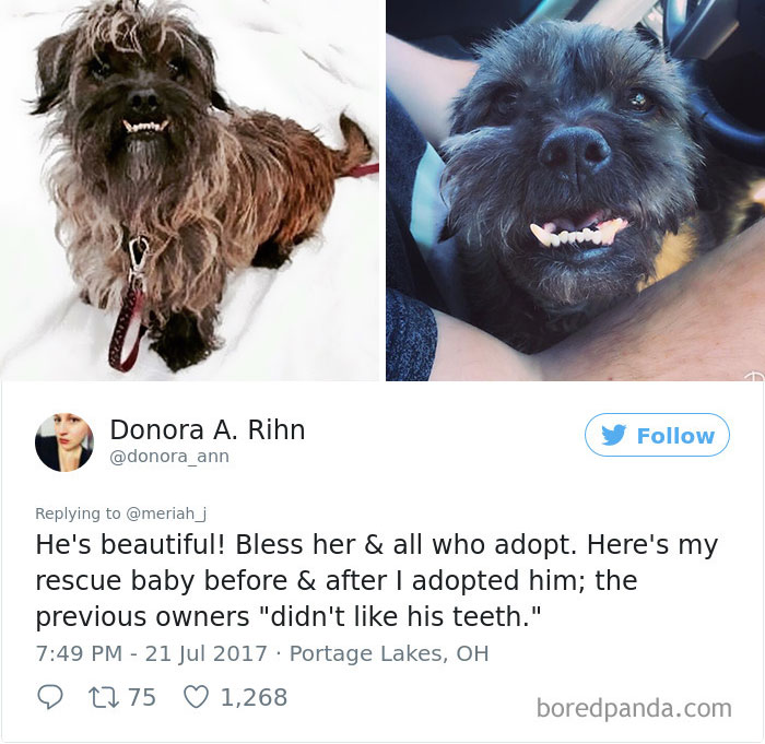 "My Sister Adopted Her Very First Dog And His Before & After Pics Have Me Crying"