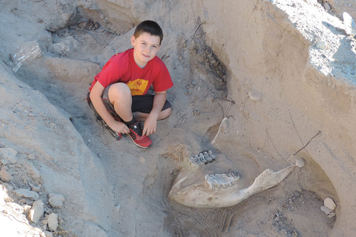 Boy Discovers Million-Year-Old Fossil By Tripping Over It