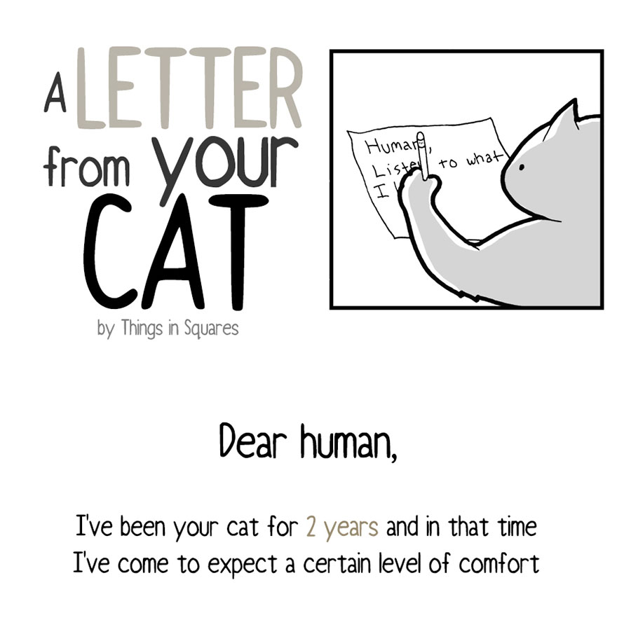 Your Cat Has Written You A Letter, And You Must Read It