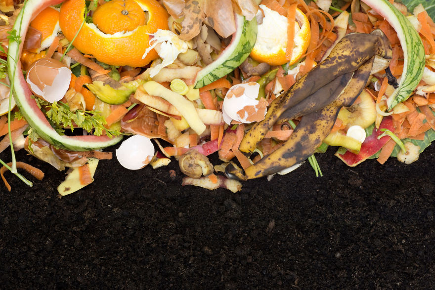 Factors Limiting Composting Technologies