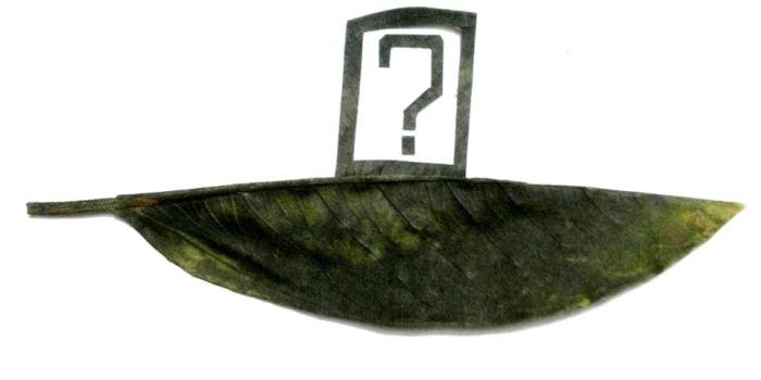 Leaf Cutting By Thinh Hoang