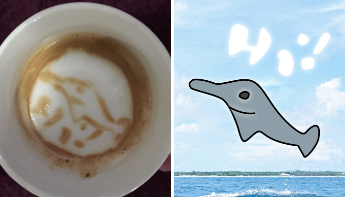 My Wife Thinks She Is Picasso Of The Barista World