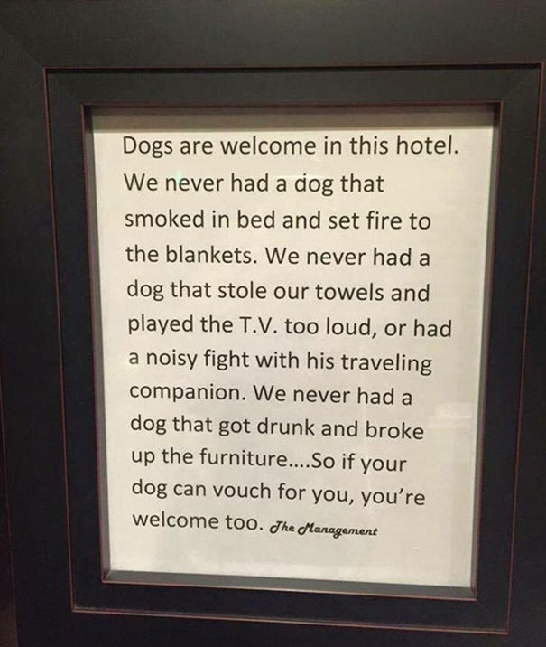 This Hotels Pet Policy