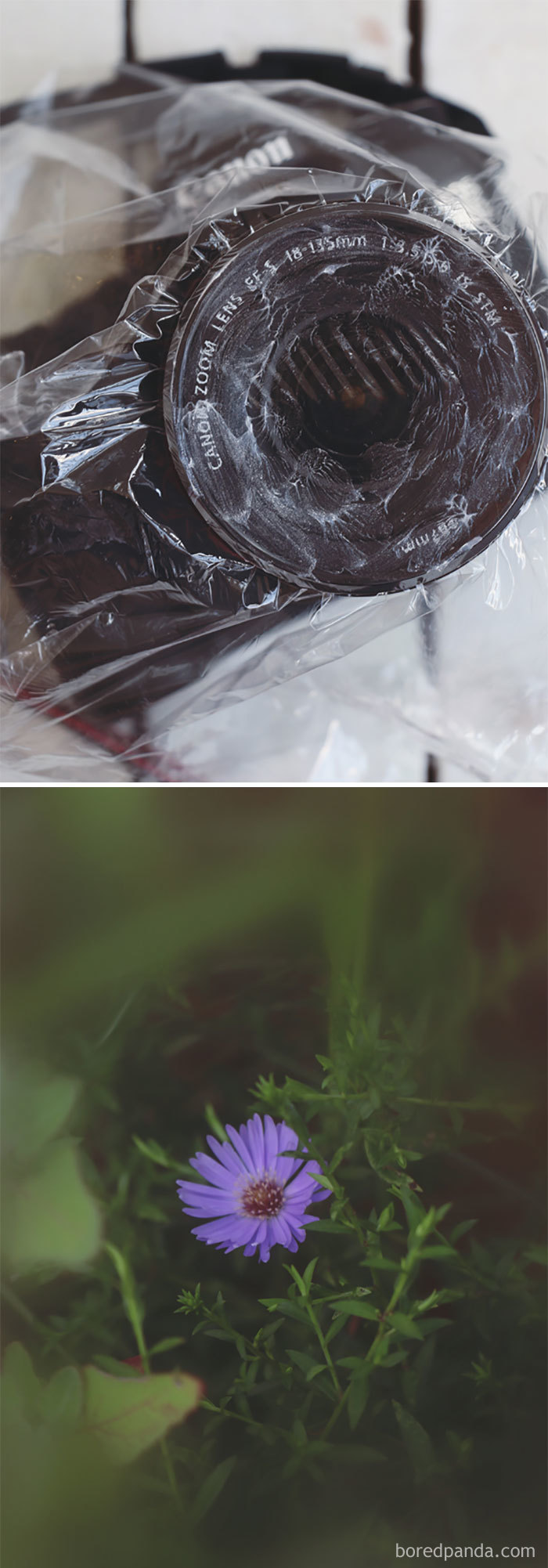Use A Plastic Bag Smeared With Vaseline For A Soft-Focus Lens Effect