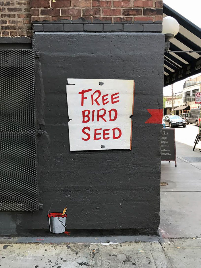 This 'Free Bird Seed' Graffiti Leads To Unexpected Surprise In Chicago