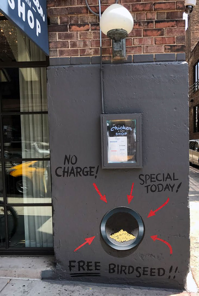 This 'Free Bird Seed' Graffiti Leads To Unexpected Surprise In Chicago