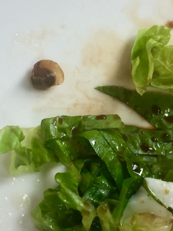 A Complimentary Dead Snail With My Salad