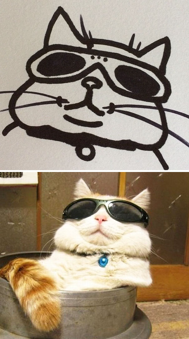 Poorly Drawn Cat