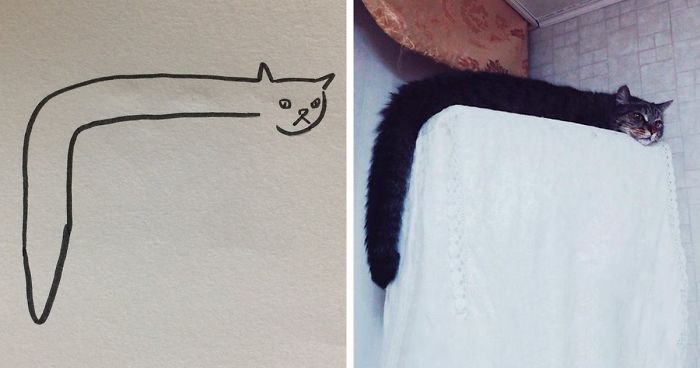 When Your Teacher Keeps Saying You Can't Draw Cats, But Your Paintings Are  Photorealistic | Bored Panda