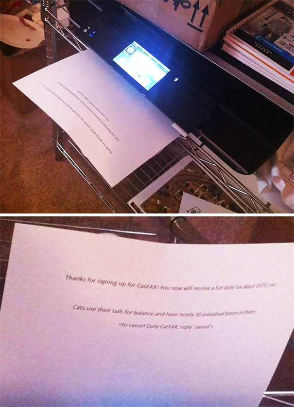 My Roommate Doesn't Realize That I, Too, Can Print To His Wireless Printer