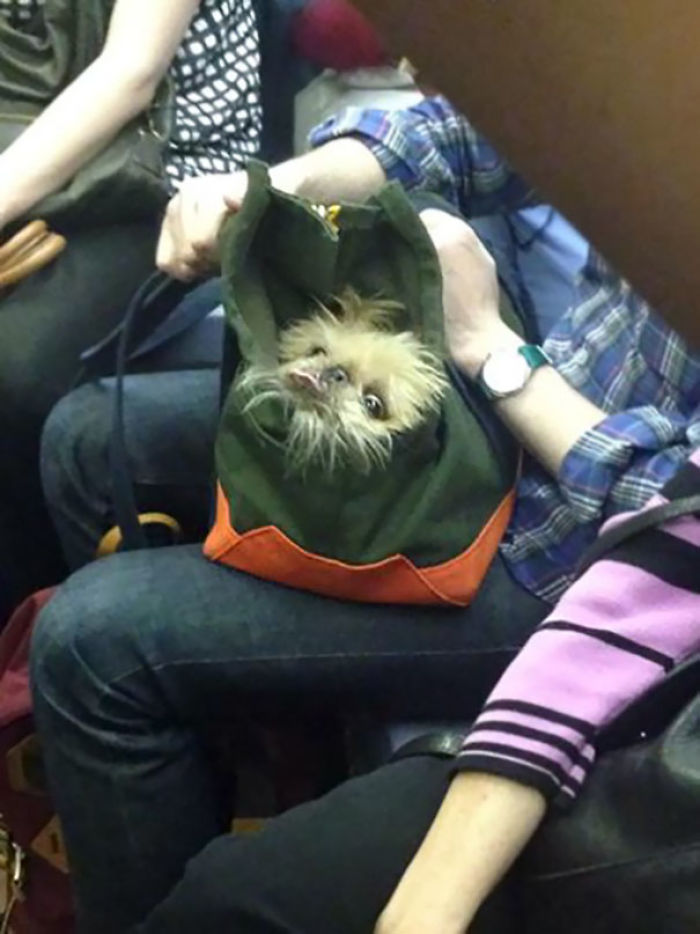 Meanwhile On The NYC Subway