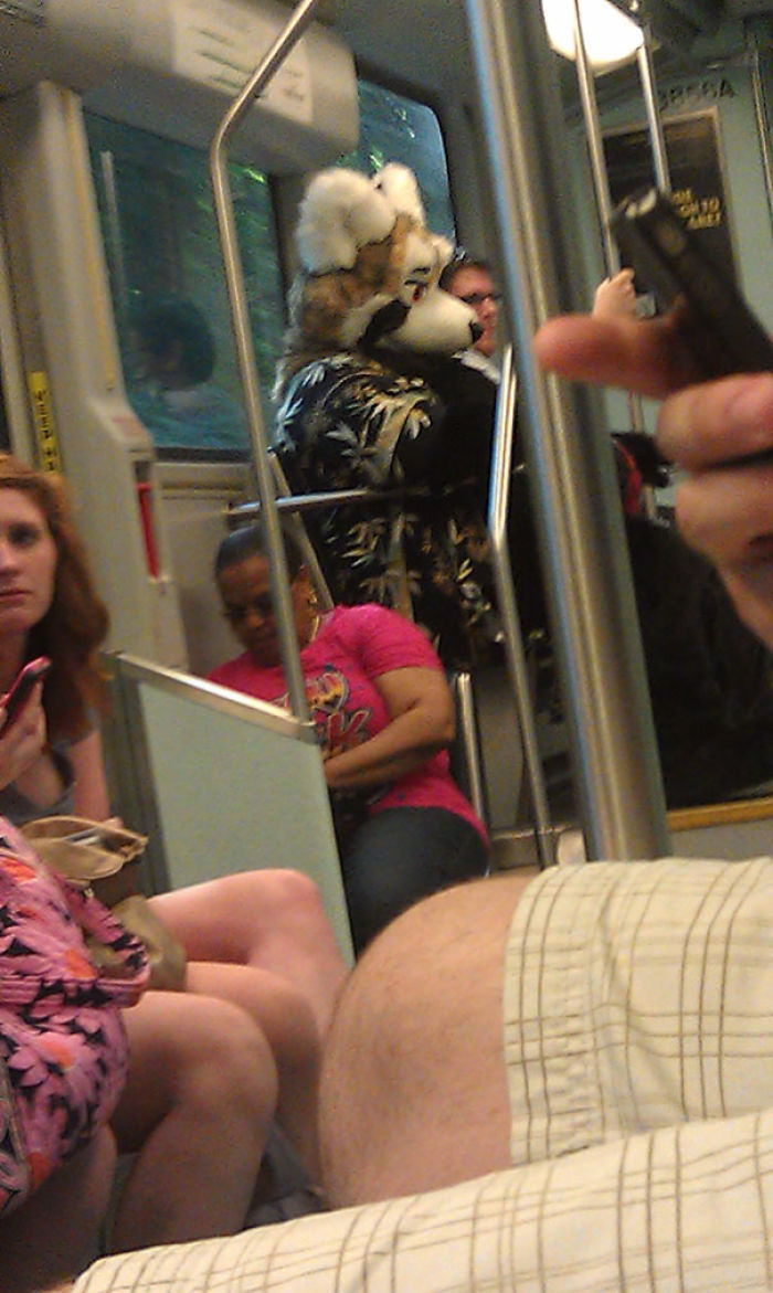 I Always Thought People Lied About Seeing Weird Things On The Subway
