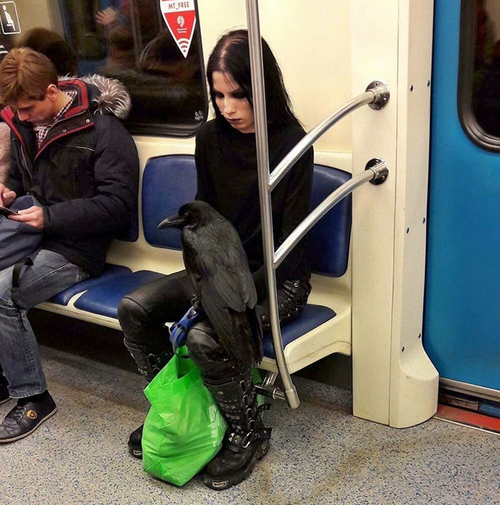 176 Of The Weirdest People Ever Spotted Riding On The Subway