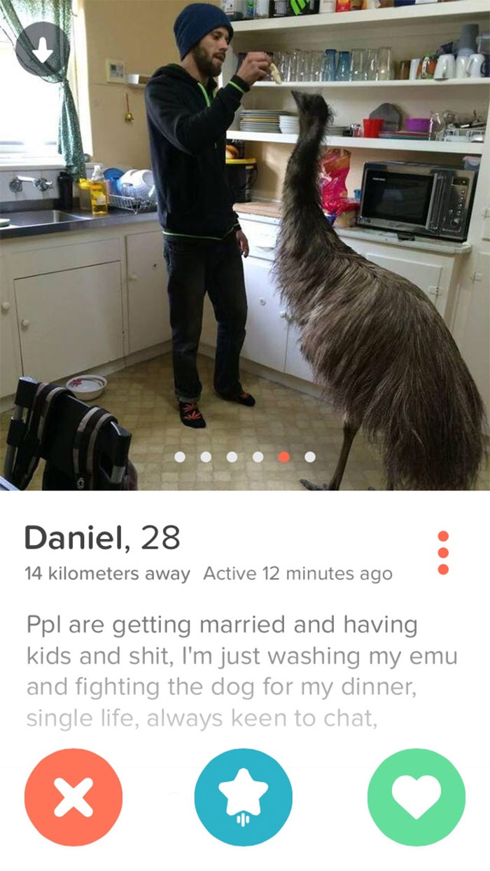 This Emu Dude