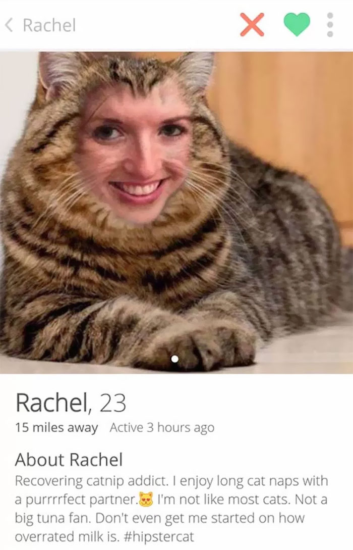 Tinder profile of a womans’ face photoshopped to a cat