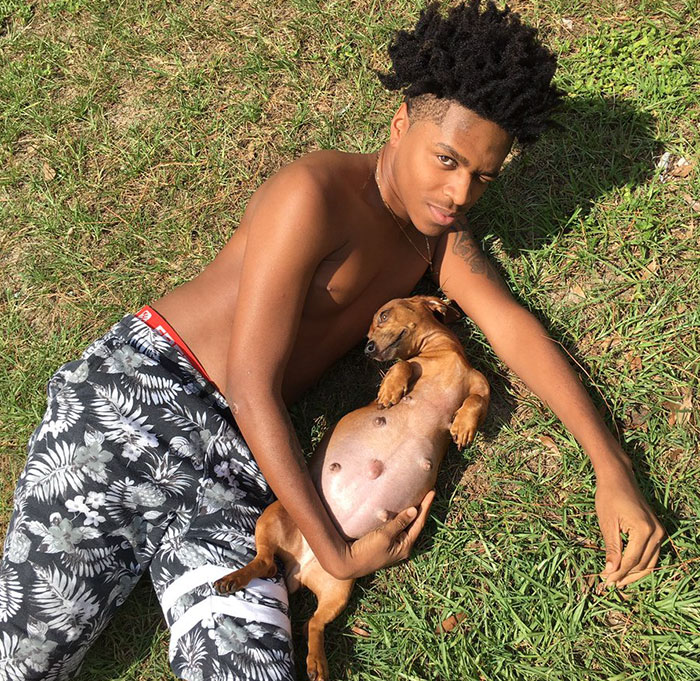 Guy Does Maternity Photoshoot With His Pregnant Dog, Internet Can’t Handle It