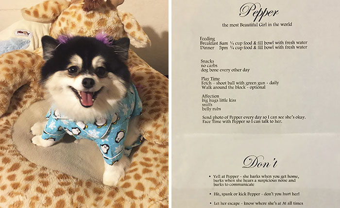 Woman Afraid To Leave Her Dog Alone With Dog Sitter Writes Him List Of Rules, And They Go Viral