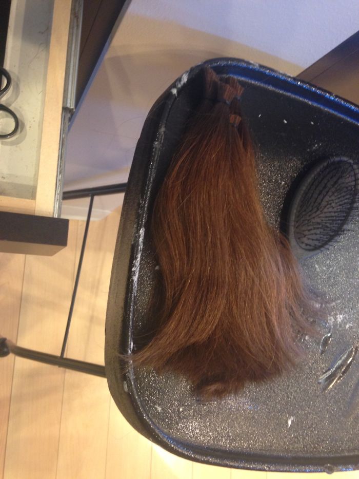 Donated 13 Inches.