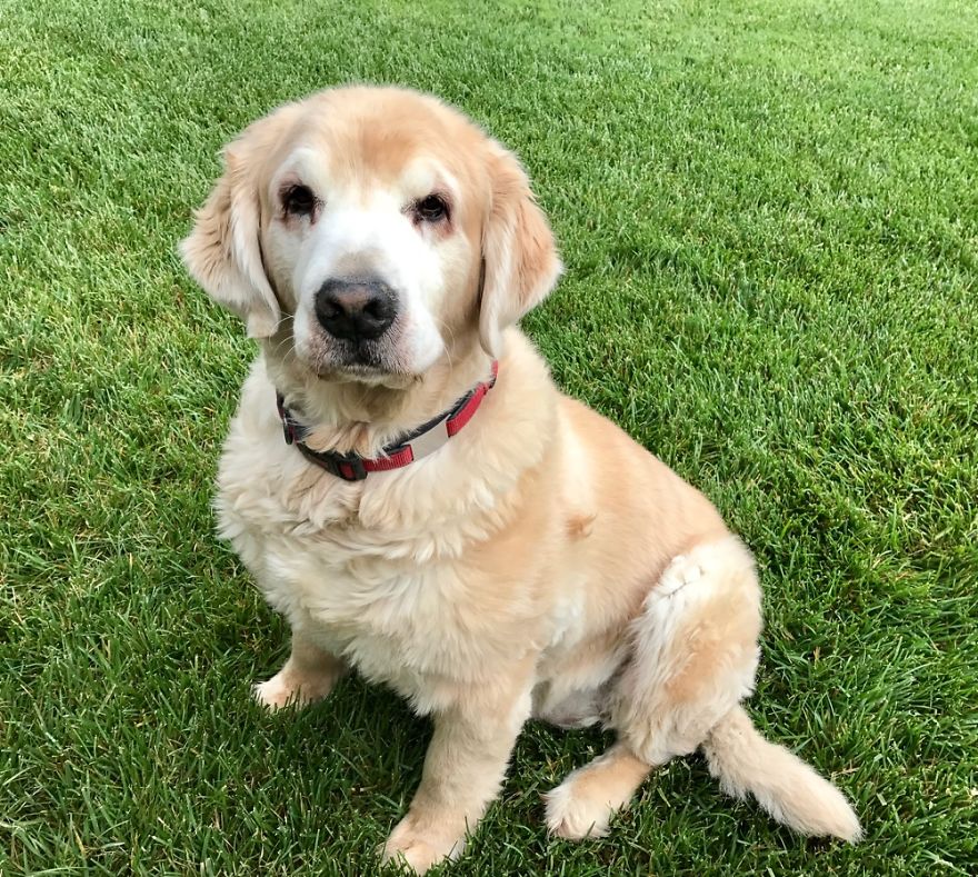 Exeter, California Murphy 11 Years Old