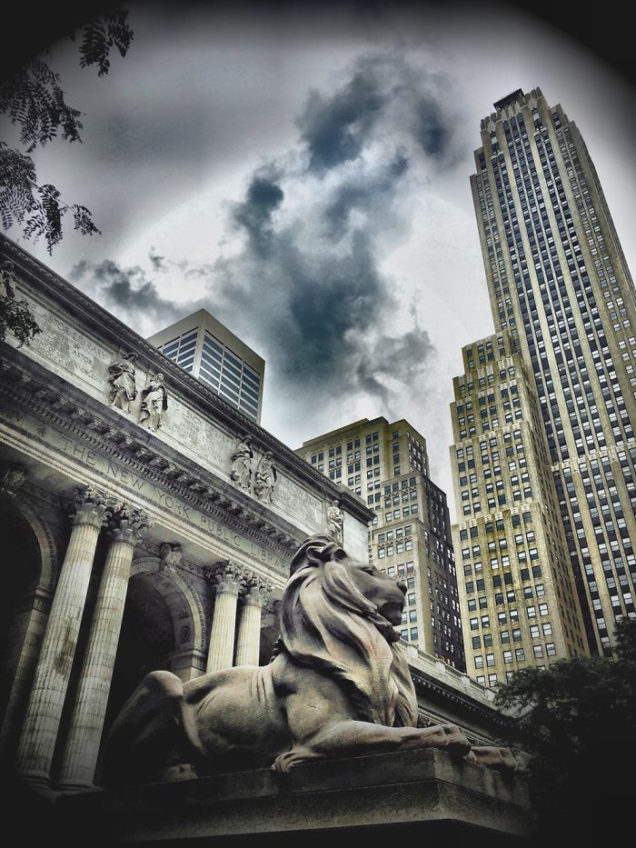 Summer In New York City 2