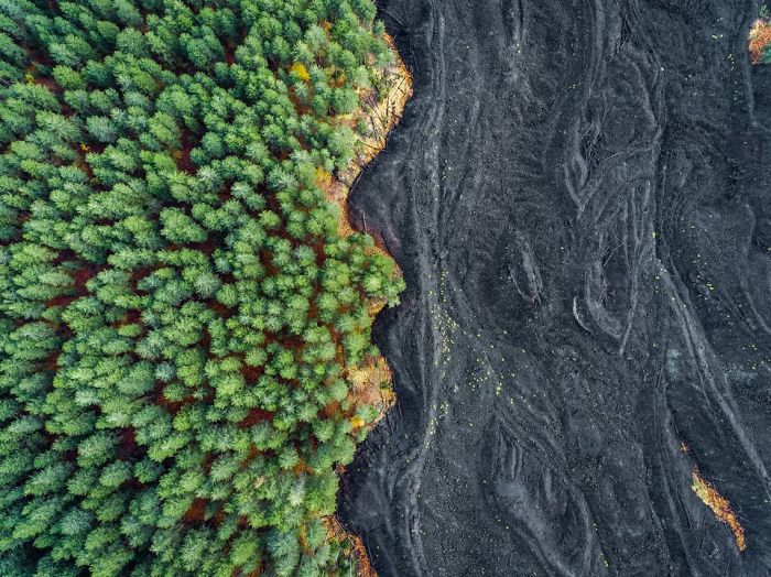 Solidified Lava Vs Forest