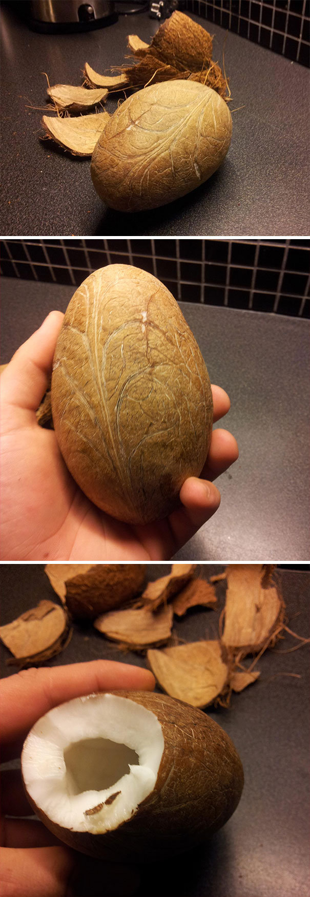 So, I Just Peeled A Coconut Without Breaking It