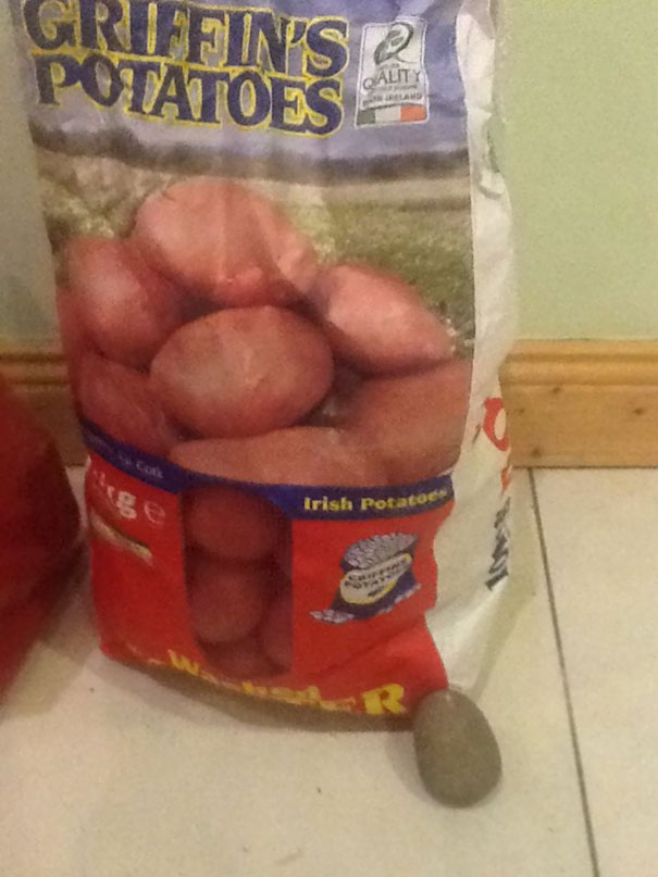 Someone Mistook A Rock For A Potato And Put It Into This Sack Of Potatoes We Bought