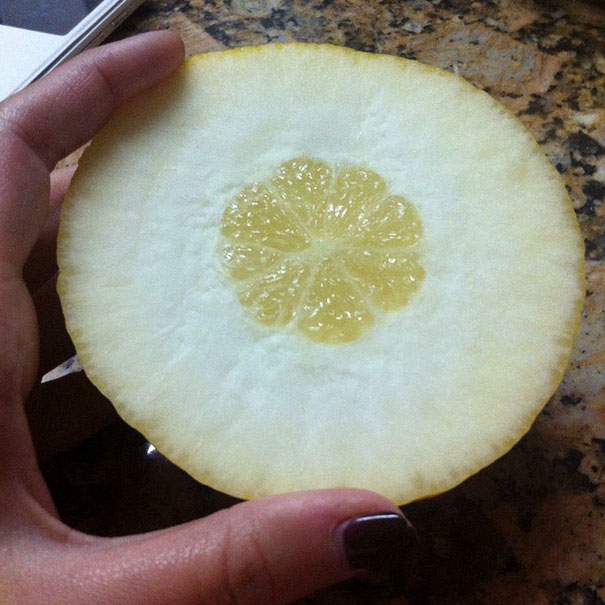The Lemon Thing Happened To Me, Was Huge Until I Cut Into It