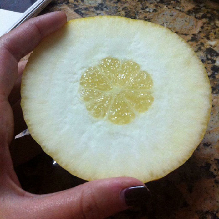 Tenía un limón enorme, pero lo corté por la mitad y...