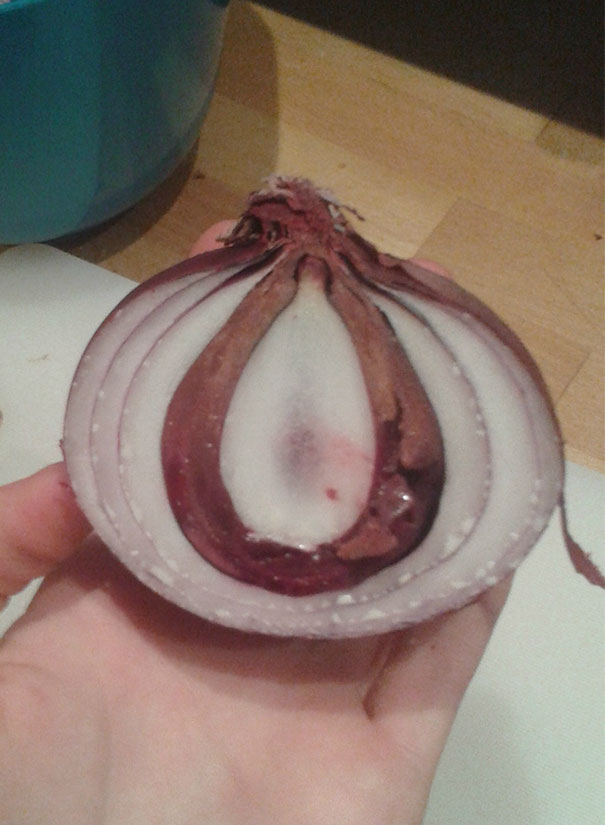 This Onion Has One Rotten Layer