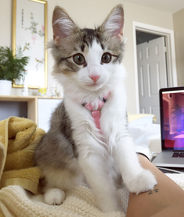 The Cutest Alarm Clock To Wake Up To