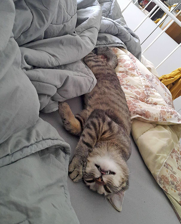 Six Months After Taking Him Off The Streets. This Is What I Wake Up To, Every Morning