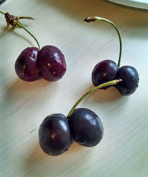 These Conjoined Cherries. I Won The Cherry Lottery!