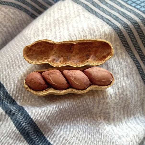A Four-Pead Peanut