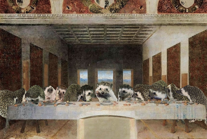 The Amazing World Of Hedgehog Art History