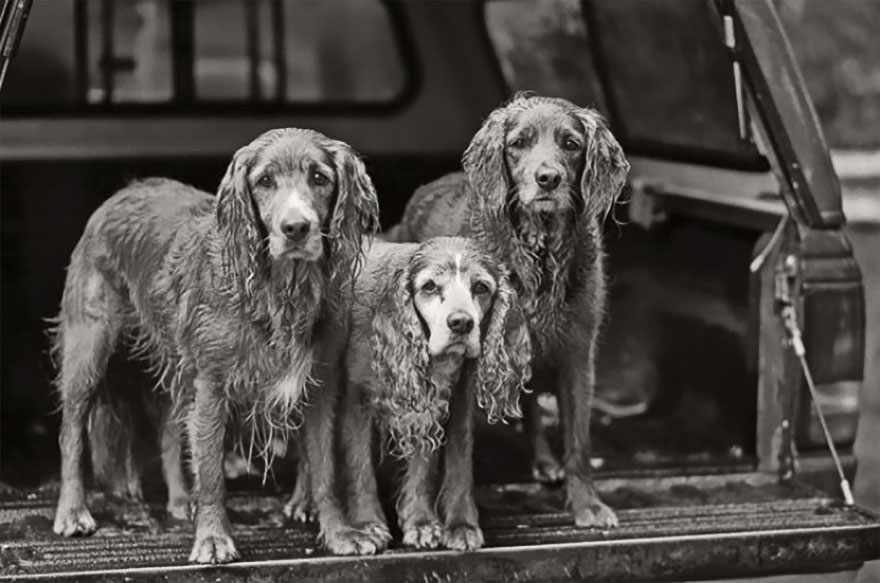 Chauncey (middle), 12 Years Old, Daughter Sailor Girl (left) And Ready Girl (right), 6 Years Old, Juneau, Alaska