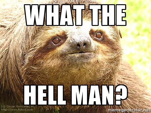 serious-sloth-what-the-hell-man-59677f8c491fa.jpg