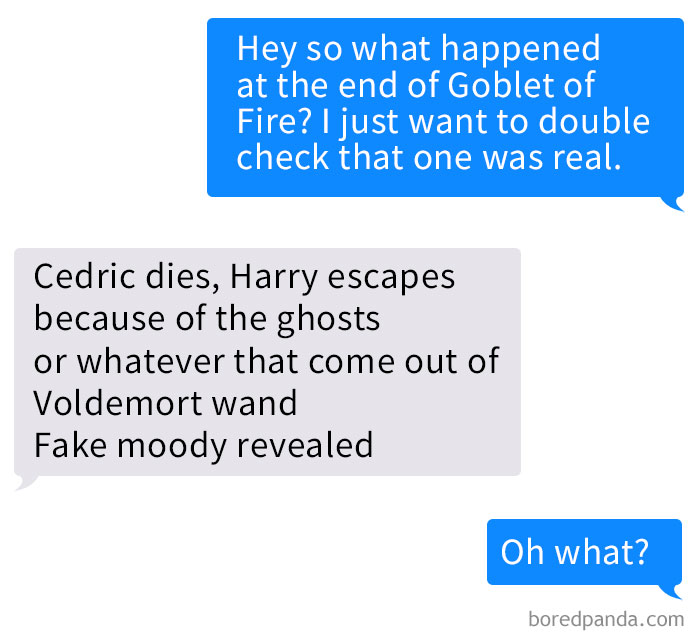text-guy-accidentally-read-harry-potter-book-shelley-zhang-22