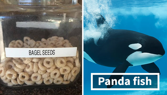 This Twitter Account Is Renaming Everyday Objects And They’re More Accurate Than The Real Ones